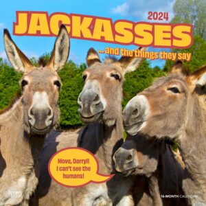 Jackasses | 2024 12 x 24 Inch Monthly Square Wall Calendar | BrownTrout | Donkey Humor