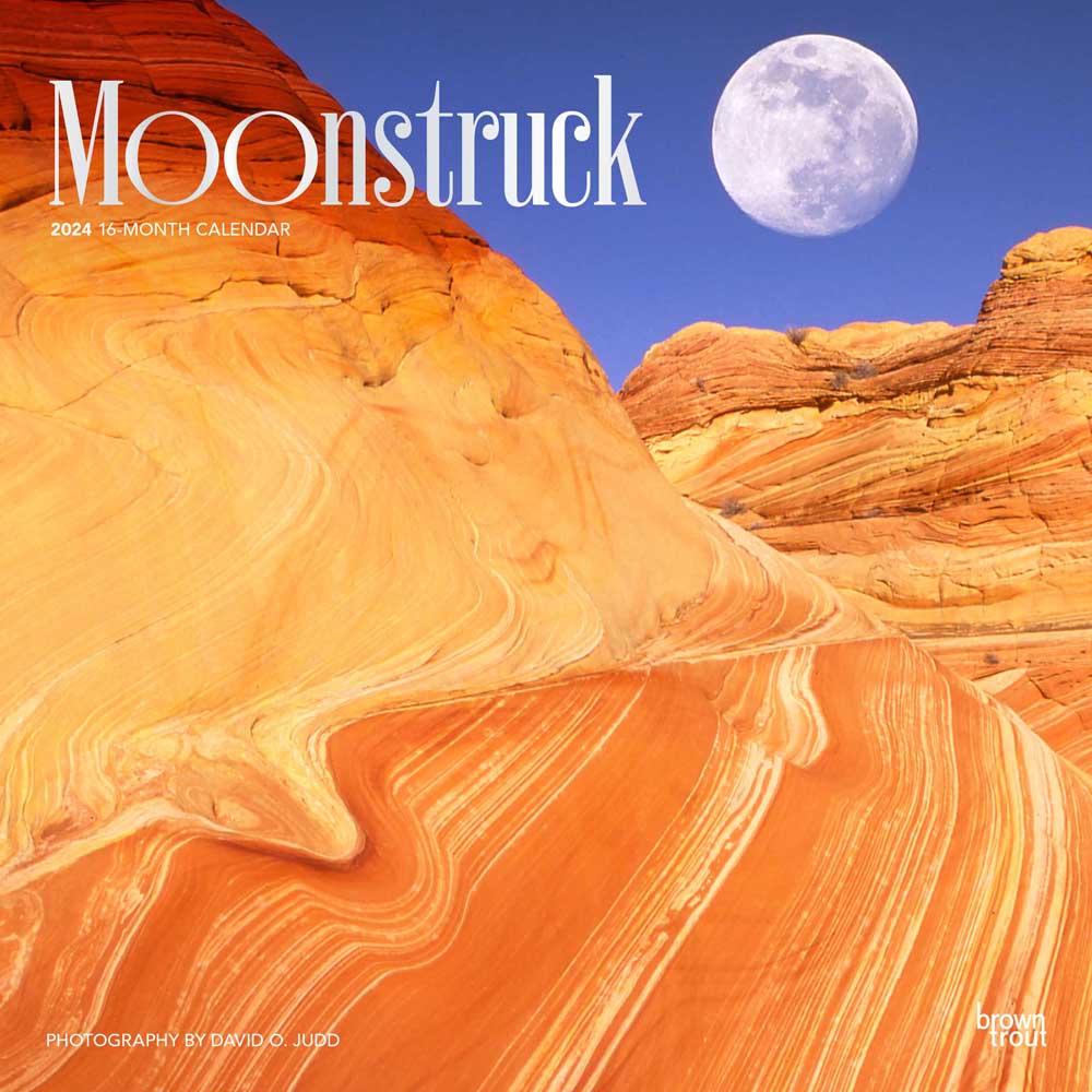 Moonstruck | 2024 12 x 24 Inch Monthly Square Wall Calendar | Foil Stamped Cover | BrownTrout | Lunar Stars Sky