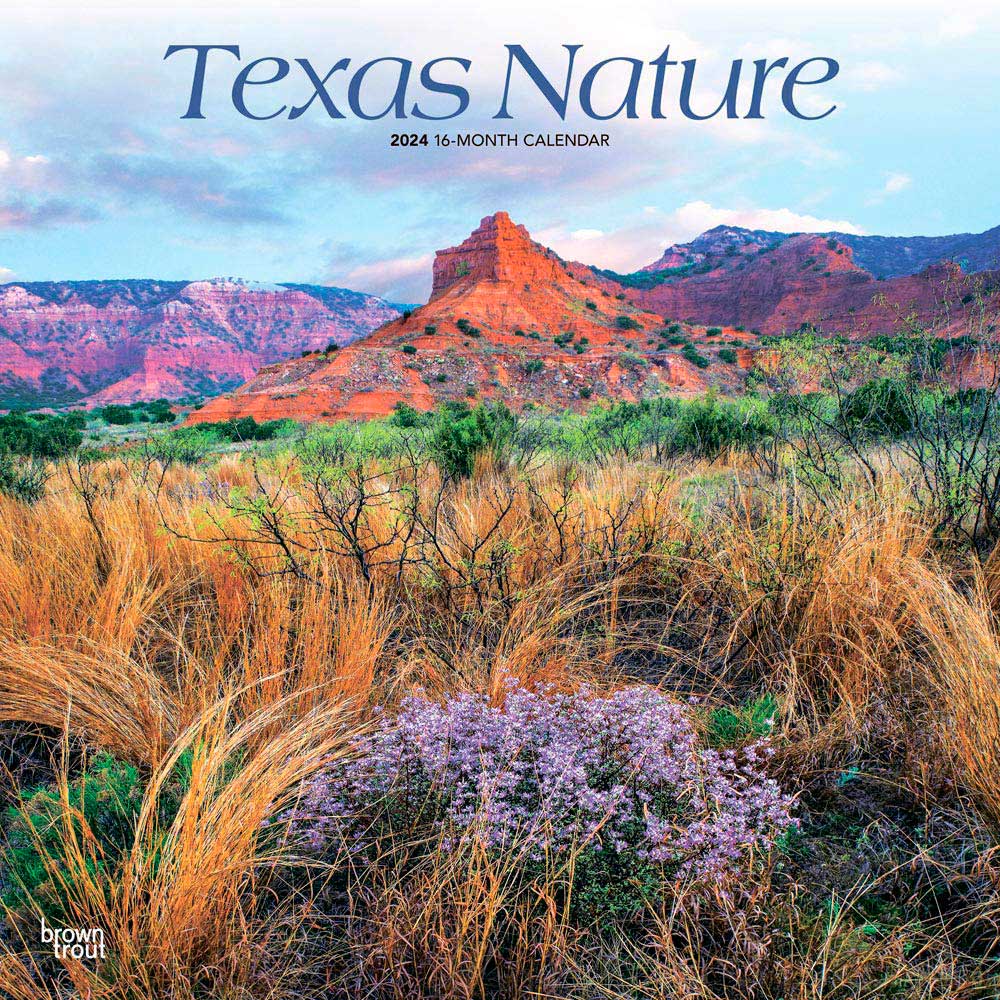 Texas Nature | 2024 12 x 24 Inch Monthly Square Wall Calendar | BrownTrout | USA United States of America Southwest State Wilderness
