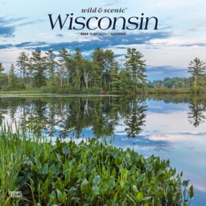 Wisconsin Wild & Scenic | 2024 12 x 24 Inch Monthly Square Wall Calendar | BrownTrout | USA United States of America Midwest State Nature