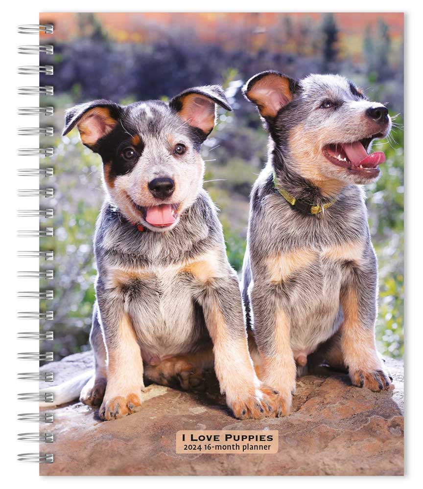 I Love Puppies | 2024 6 x 7.75 Inch Spiral-Bound Wire-O Weekly Engagement Planner Calendar | New Full-Color Image Every Week | BrownTrout | Animals Dog Breeds Puppy
