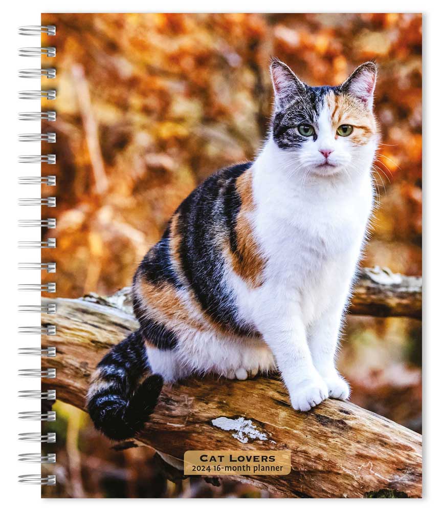 Cat Lovers | 2024 6 x 7.75 Inch Spiral-Bound Wire-O Weekly Engagement Planner Calendar | New Full-Color Image Every Week | BrownTrout | Animals Domestic Kittens Feline