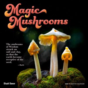 Magic Mushrooms | 2024 12 x 24 Inch Monthly Square Wall Calendar | Brush Dance | Fungus Fungi Microorganism