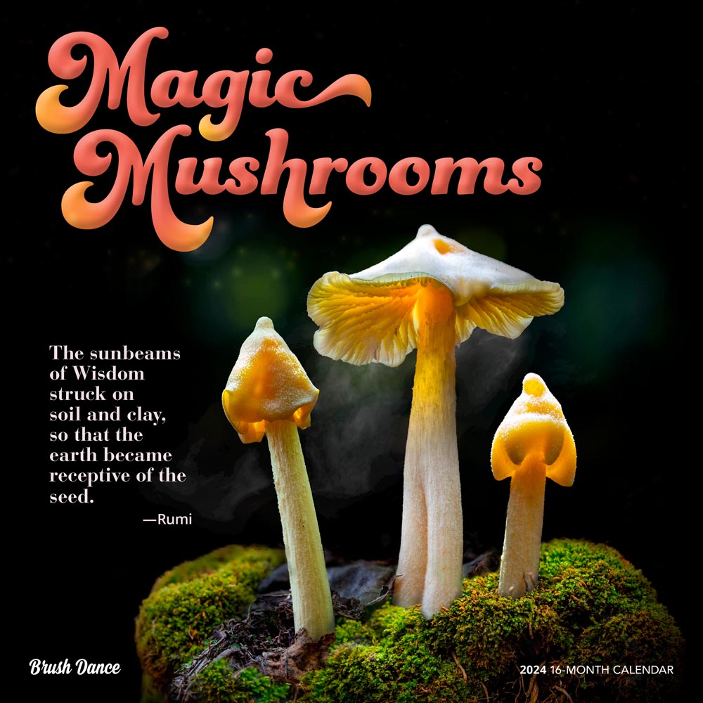 Magic Mushrooms 2024 Square Wall Calendar BrownTrout