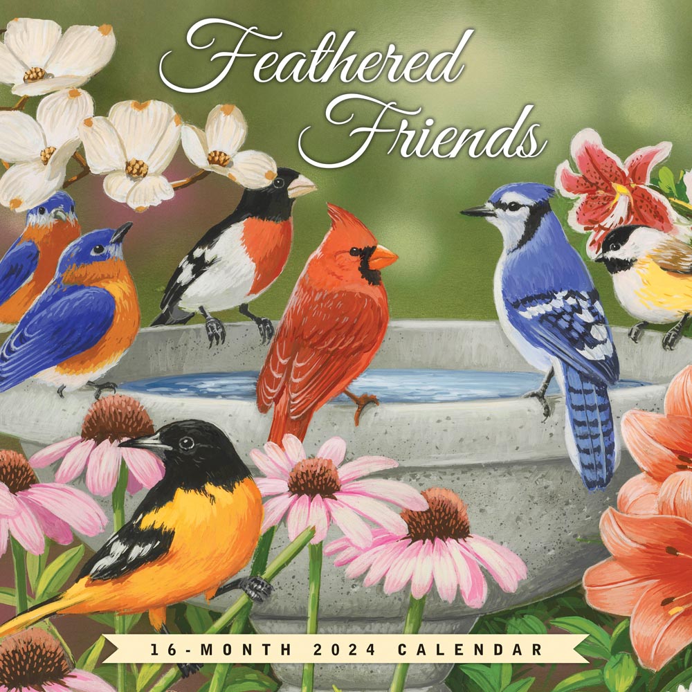 Feathered Friends | 2024 Square Wall Calendar | Hopper Studios | Eid