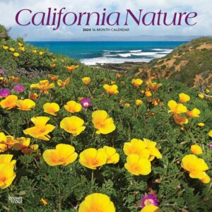 California Nature | 2024 12 x 24 Inch Monthly Square Wall Calendar | BrownTrout | USA United States of America Pacific West State