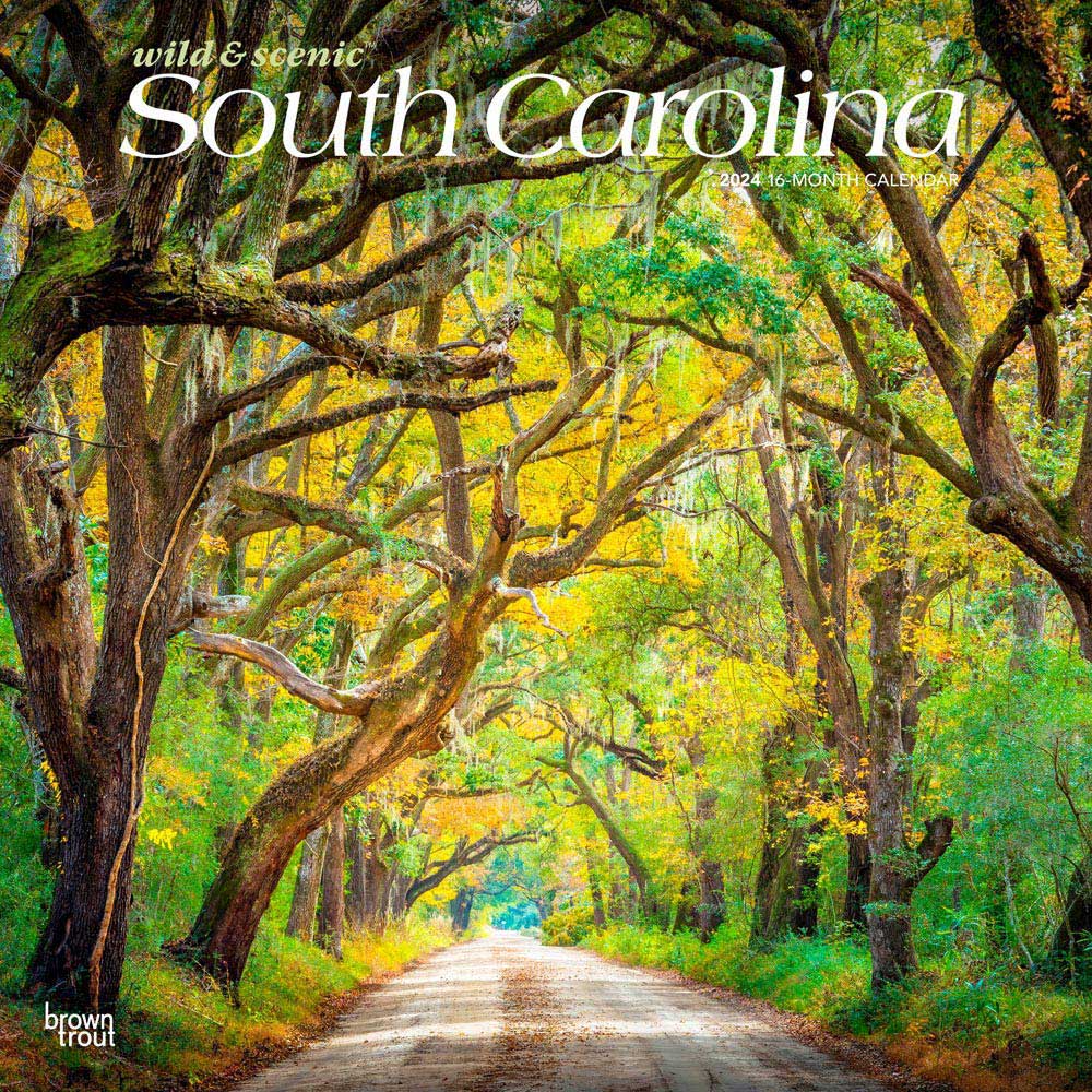 South Carolina Wild & Scenic | 2024 12 x 24 Inch Monthly Square Wall Calendar | BrownTrout | USA United States of America Southeast State Nature