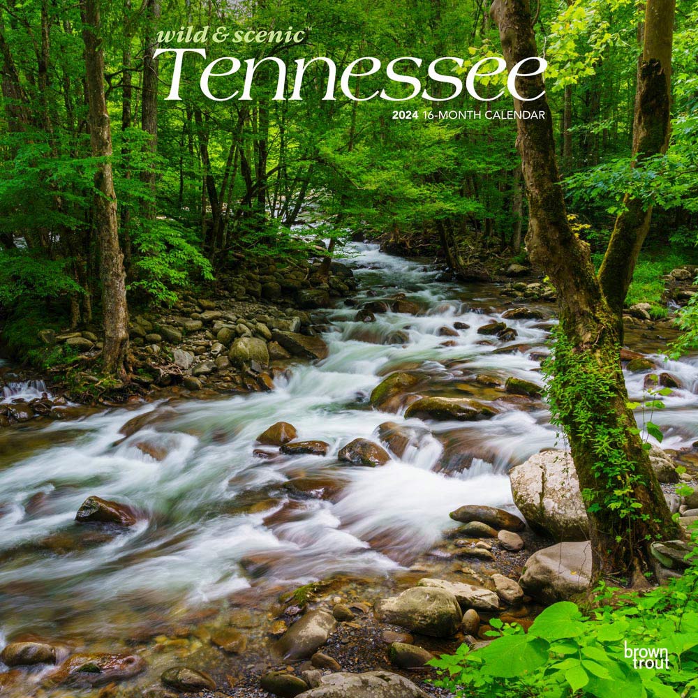 Tennessee Wild & Scenic | 2024 12 x 24 Inch Monthly Square Wall Calendar | BrownTrout | USA United States of America Southeast State Nature