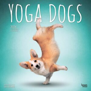 Yoga Dogs OFFICIAL | 2024 12 x 24 Inch Monthly Square Wall Calendar | BrownTrout | Animals Humor Pets