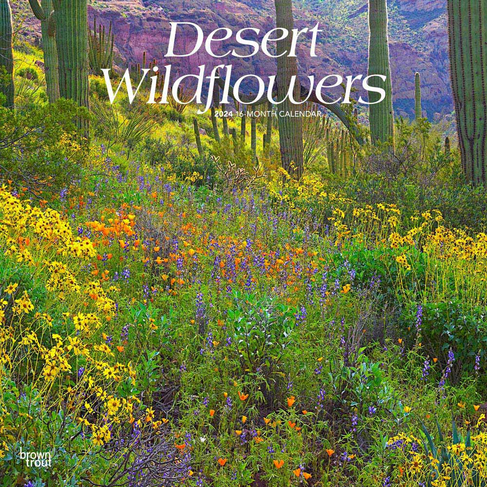 Desert Wildflowers | 2024 12 x 24 Inch Monthly Square Wall Calendar | BrownTrout | Floral Outdoor Plant Nature
