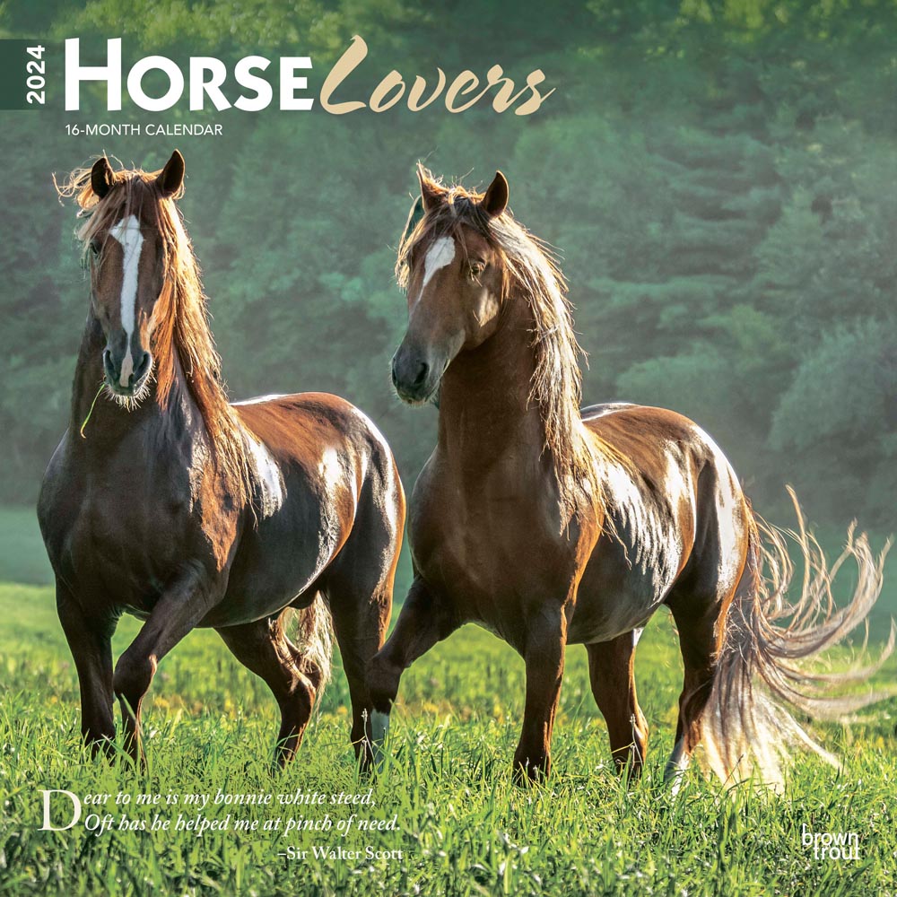 Horse Lovers | 2024 12 x 24 Inch Monthly Square Wall Calendar | BrownTrout | Animals Equestrian