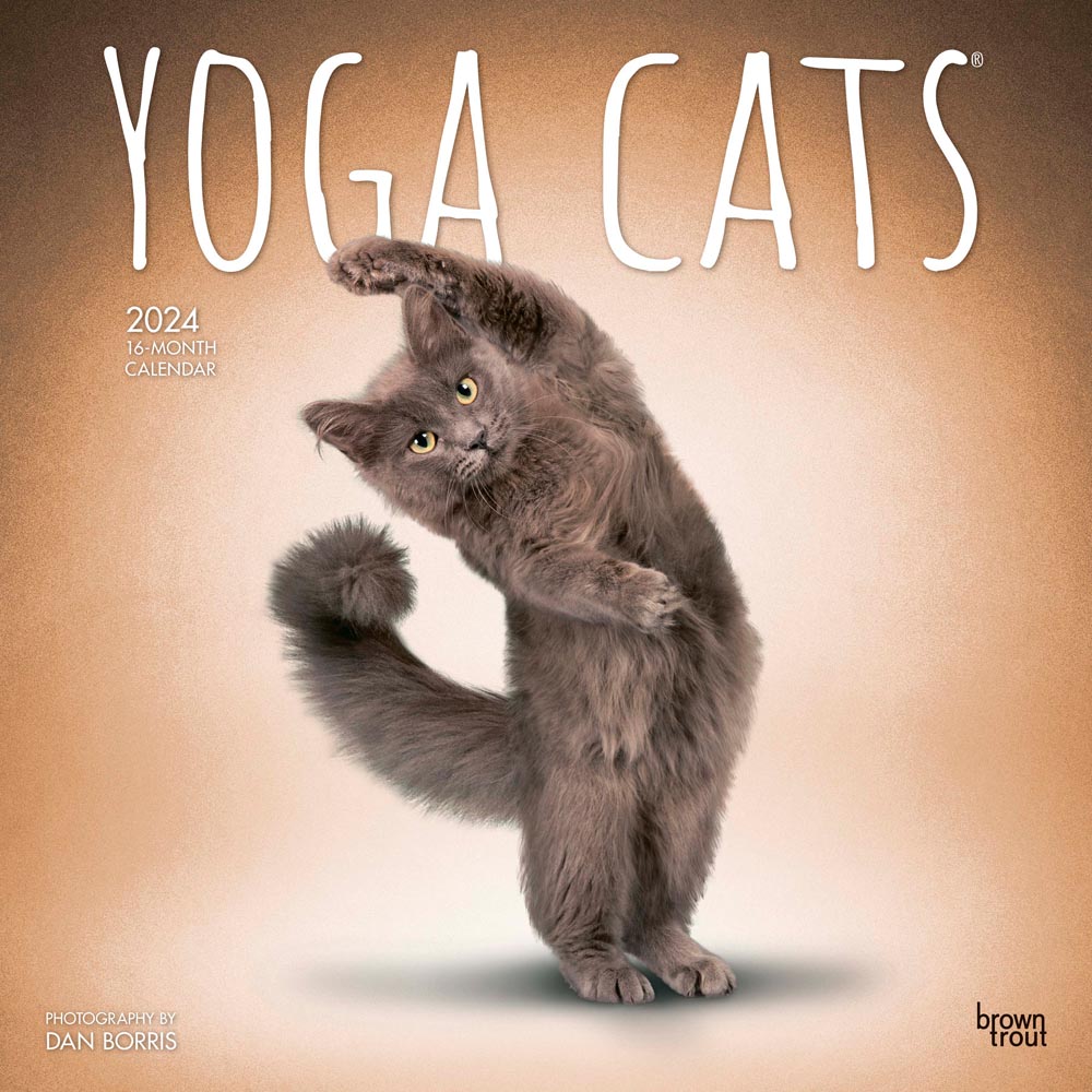 Yoga Cats OFFICIAL | 2024 12 x 24 Inch Monthly Square Wall Calendar | BrownTrout | Animals Humor Pets