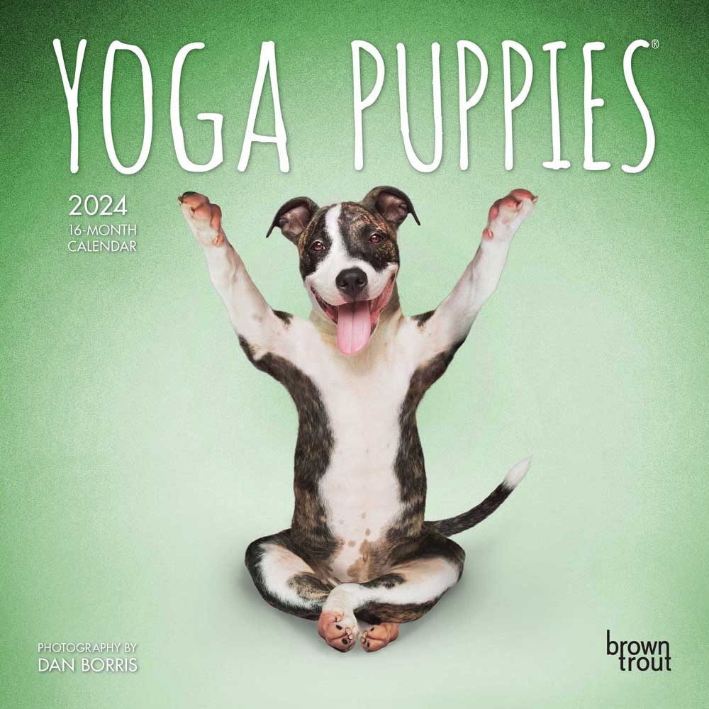 Yoga Puppies OFFICIAL | 2024 7 x 14 Inch Monthly Mini Wall Calendar | BrownTrout | Animals Humor Puppy Dogs Canine
