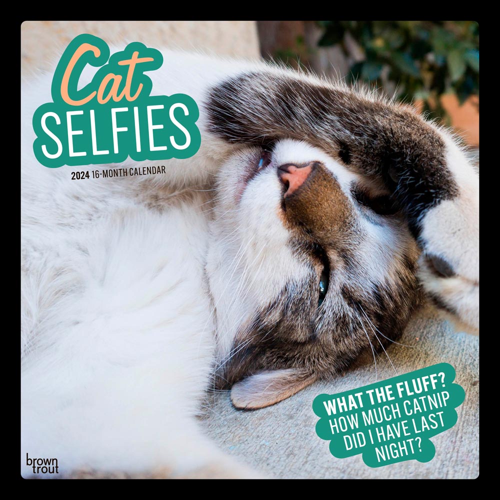 Cat Selfies | 2024 12 x 24 Inch Monthly Square Wall Calendar | BrownTrout | Pet Humor Kitten Feline