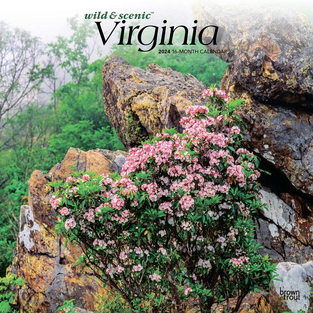 Virginia Wild & Scenic | 2024 12 x 24 Inch Monthly Square Wall Calendar | BrownTrout | USA United States of America Southeast State Nature