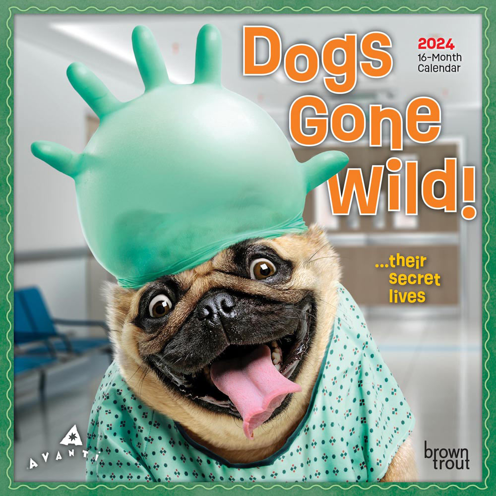 Avanti Dogs Gone Wild | 2024 7 x 14 Inch Monthly Mini Wall Calendar | BrownTrout | Canine Pet Humor