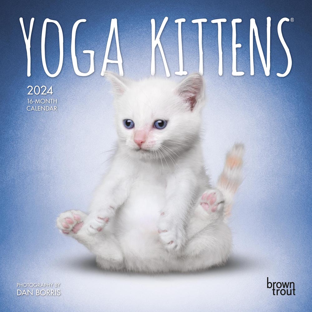 Yoga Kittens OFFICIAL | 2024 7 x 14 Inch Monthly Mini Wall Calendar | BrownTrout | Animals Humor Cats Feline