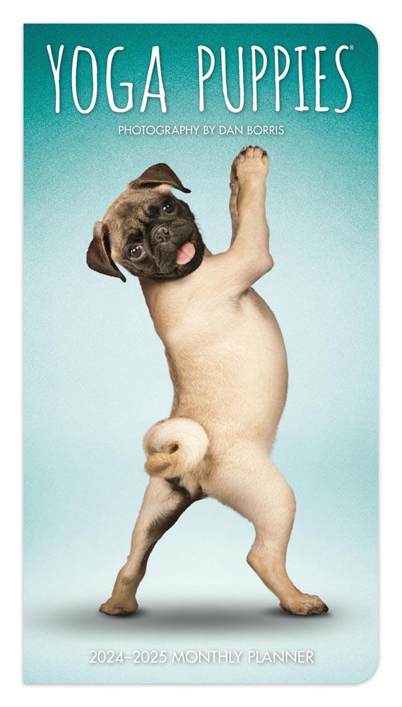 Yoga Puppies OFFICIAL | 2024-2025 3.5 x 6.5 Inch Two Year Monthly Pocket Planner | BrownTrout | Animals Humor Puppy Canine Pets