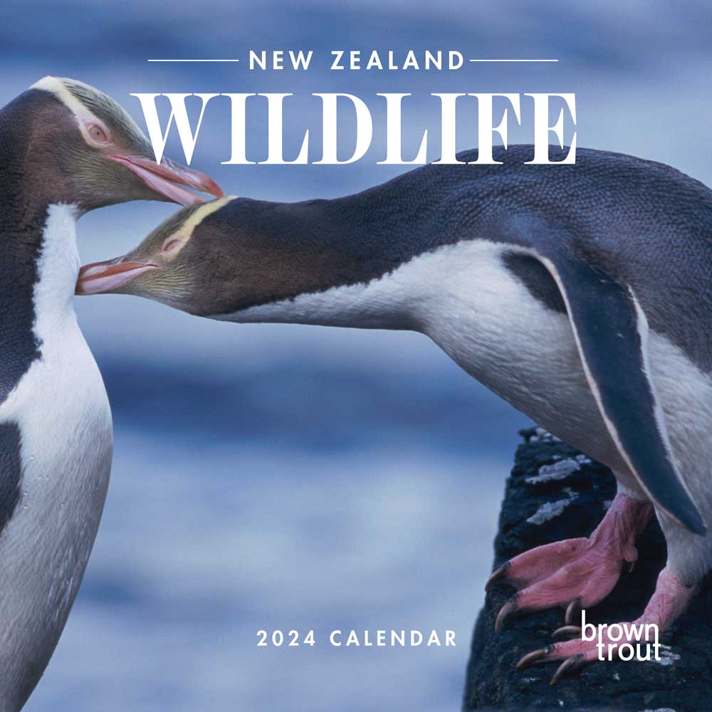 New Zealand Wildlife | 2024 12 x 24 Inch Monthly Square Wall Calendar | BrownTrout | Travel Scenic Oceania Photography