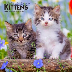 For the Love of Kittens | 2024 7 x 14 Inch Monthly Mini Wall Calendar | BrownTrout | Animals Cats Feline