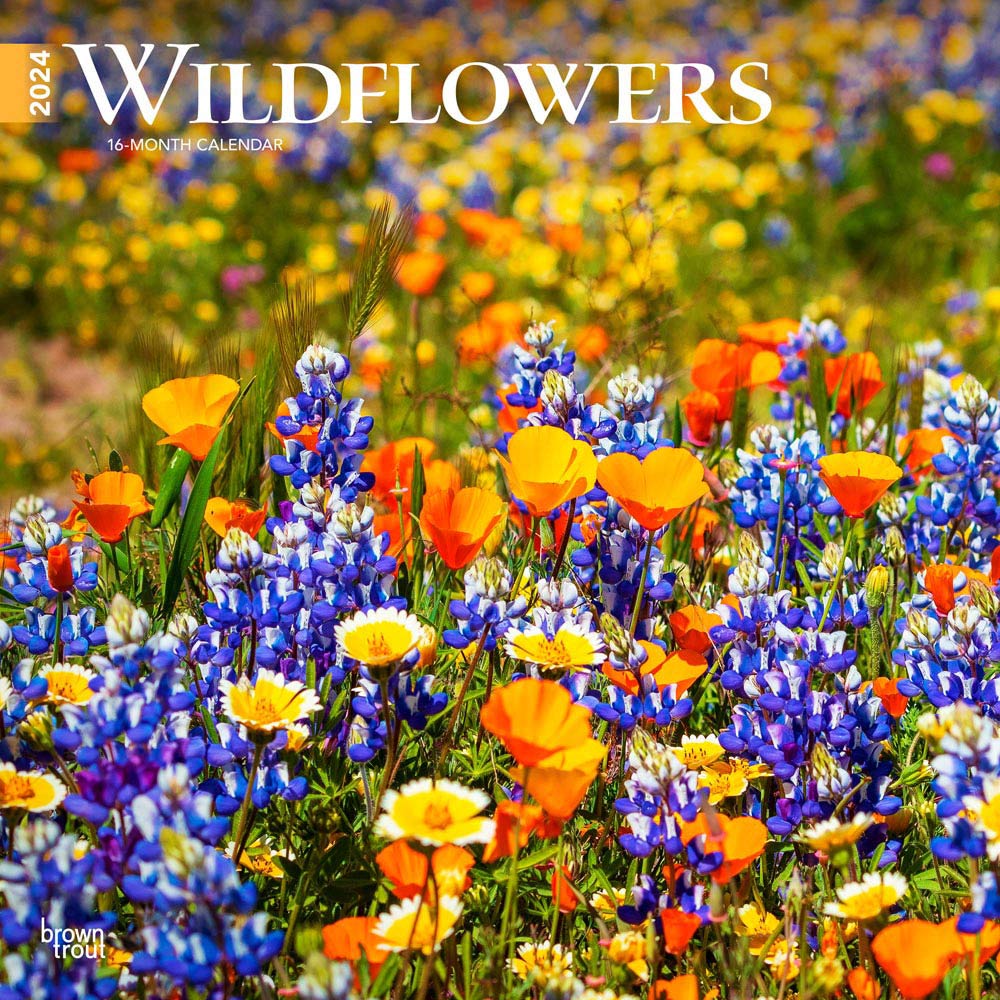 Wildflowers | 2024 12 x 24 Inch Monthly Square Wall Calendar | BrownTrout | Flower Outdoor Plant