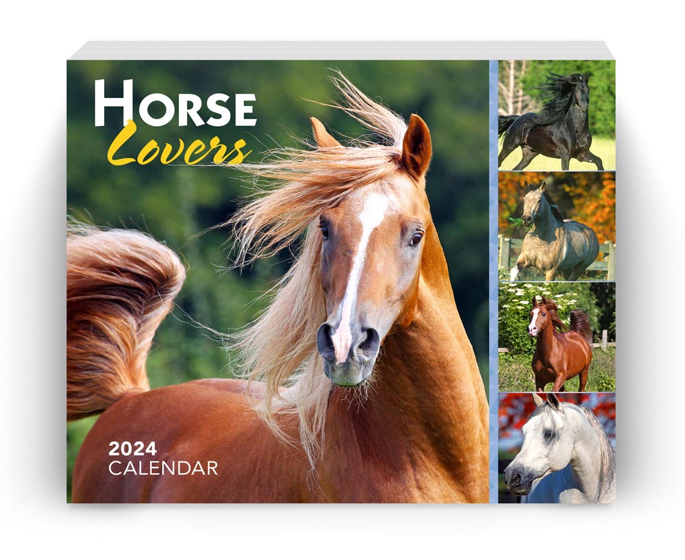 Horse Lovers | 2024 6 x 5 Inch Daily Desktop Box Calendar | New Page Every Day | BrownTrout | Animals Horses Equestrian