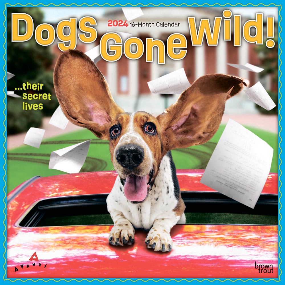 Avanti Dogs Gone Wild | 2024 12 x 24 Inch Monthly Square Wall Calendar | BrownTrout | Canine Pet Humor