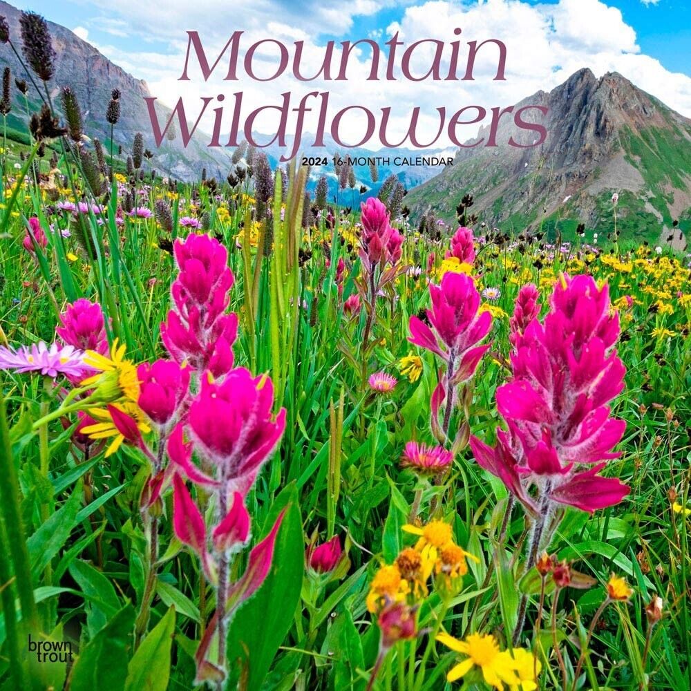 Mountain Wildflowers | 2024 12 x 24 Inch Monthly Square Wall Calendar | BrownTrout | Floral Outdoor Plant Nature