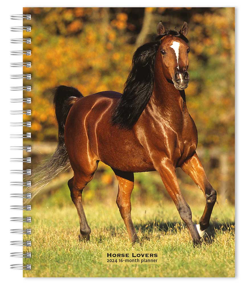 Horse Lovers | 2024 6 x 7.75 Inch Spiral-Bound Wire-O Weekly Engagement Planner Calendar | New Full-Color Image Every Week | BrownTrout | Animals Equestrian
