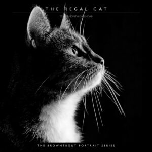 The BrownTrout Portrait Series: The Regal Cat | 2024 12 x 24 Inch Monthly Square Wall Calendar | Pet Kitten Feline