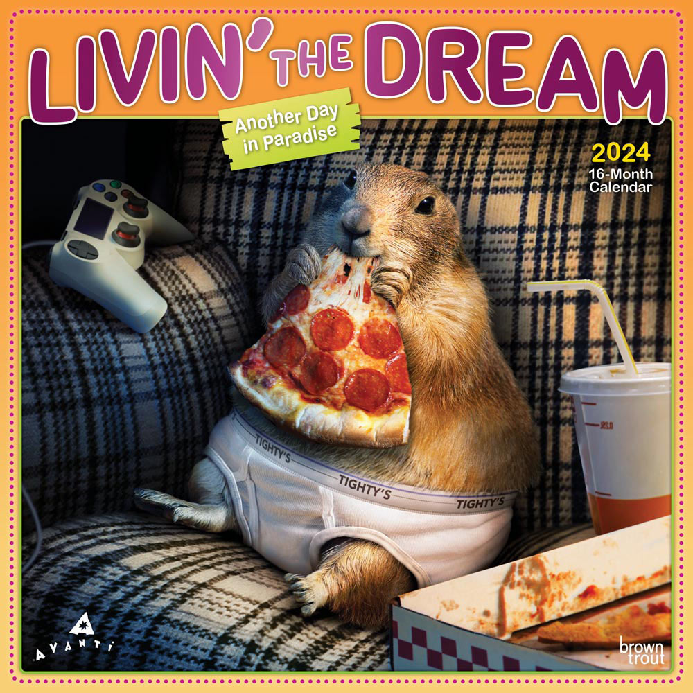 Avanti Livin' the Dream | 2024 12 x 24 Inch Monthly Square Wall Calendar | Foil Stamped Cover | BrownTrout | Motivation Inspiration Funny