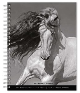 The BrownTrout Portrait Series: The Noble Horse | 2024 6 x 7.75 Inch Spiral-Bound Wire-O Weekly Engagement Planner Calendar | New Full-Color Image Every Week | Pets Equestrian