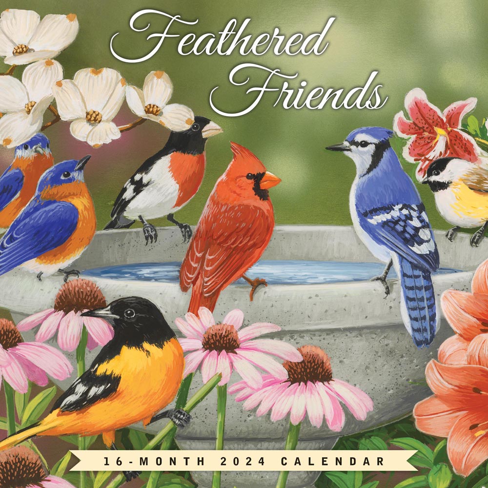 Feathered Friends | 2024 7 x 14 Inch Monthly Mini Wall Calendar | Hopper Studios | Wildlife Animals