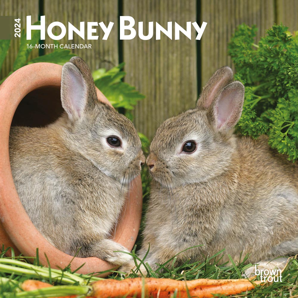 Honey Bunny | 2024 7 x 14 Inch Monthly Mini Wall Calendar | BrownTrout | Domestic Small Cute Animals