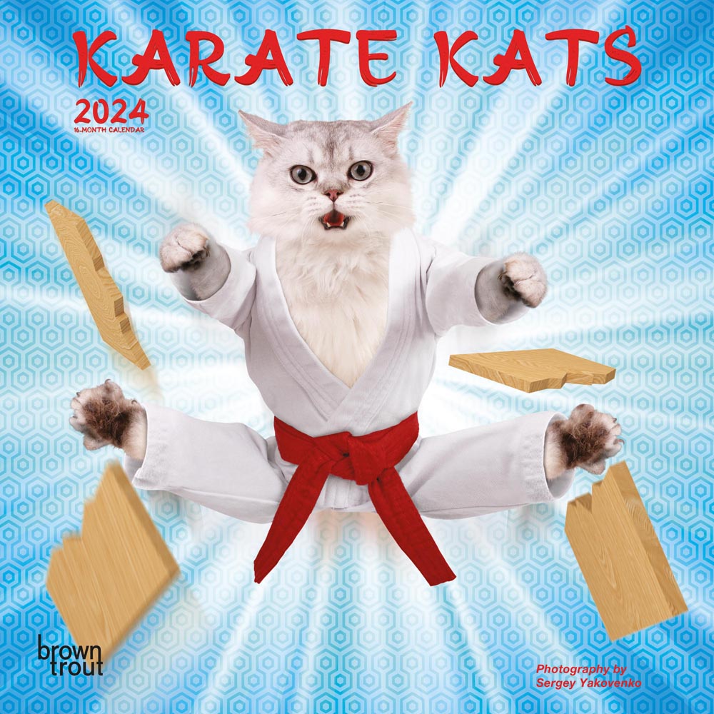 Karate Cats | 2024 7 x 14 Inch Monthly Mini Wall Calendar | BrownTrout | Pets Funny Animals Feline