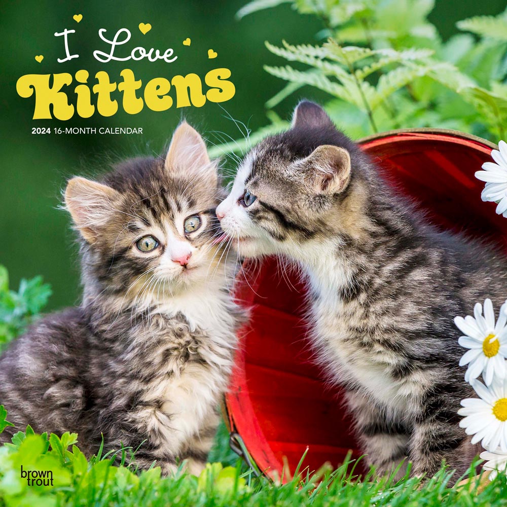 I Love Kittens | 2024 12 x 24 Inch Monthly Square Wall Calendar | BrownTrout | Animals Cats Feline