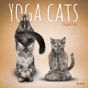 Yoga Cats Together OFFICIAL | 2024 12 x 24 Inch Monthly Square Wall Calendar | Plato | Animals Humor Pets