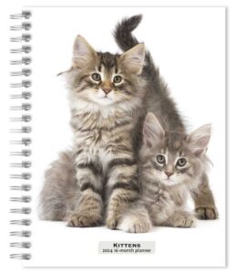 Kittens | 2024 6 x 7.75 Inch Spiral-Bound Wire-O Weekly Engagement Planner Calendar | New Full-Color Image Every Week | BrownTrout | Animals Cats Pets