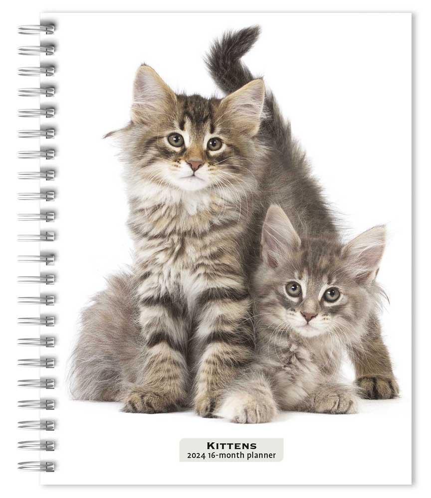 Kittens | 2024 6 x 7.75 Inch Spiral-Bound Wire-O Weekly Engagement Planner Calendar | New Full-Color Image Every Week | BrownTrout | Animals Cats Pets