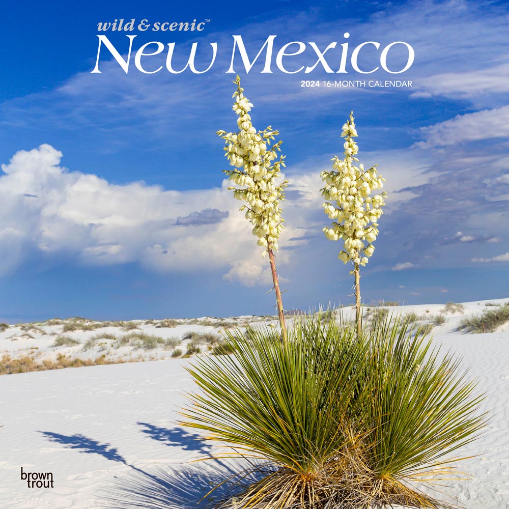 New Mexico Wild & Scenic | 2024 12 x 24 Inch Monthly Square Wall Calendar | BrownTrout | USA United States of America Southwest State Nature