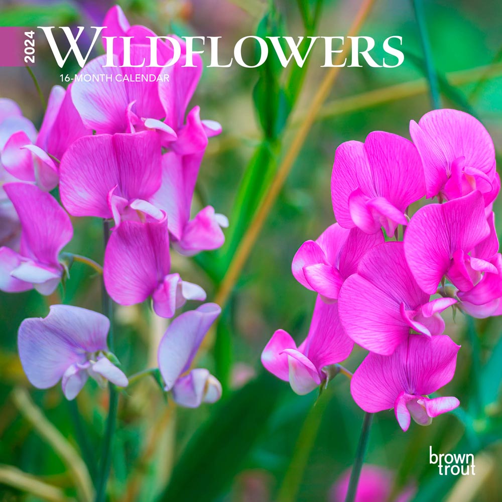 Wildflowers | 2024 7 x 14 Inch Monthly Mini Wall Calendar | BrownTrout | Flower Outdoor Plant