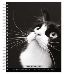 The BrownTrout Portrait Series: The Regal Cat | 2024 6 x 7.75 Inch Spiral-Bound Wire-O Weekly Engagement Planner Calendar | New Full-Color Image Every Week | Pet Kitten Feline