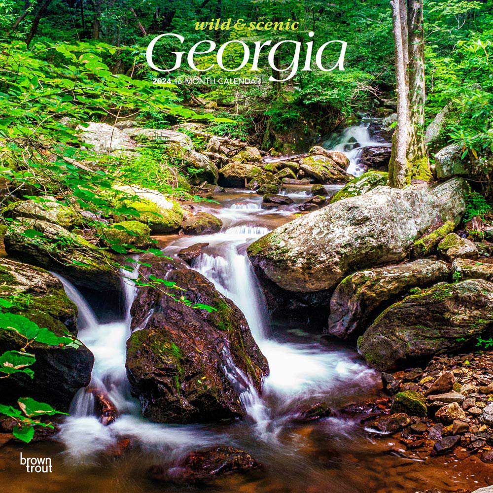 Georgia Wild & Scenic | 2024 12 x 24 Inch Monthly Square Wall Calendar | BrownTrout | USA Southeast State Nature Savannah Golf