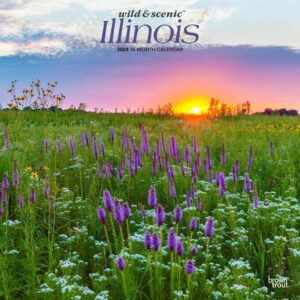 Illinois Wild & Scenic | 2024 12 x 24 Inch Monthly Square Wall Calendar | BrownTrout | USA United States of America Midwest State Nature