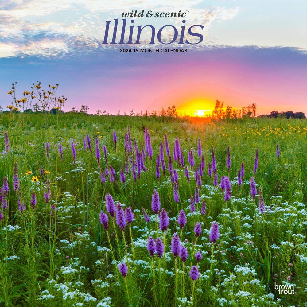 Illinois Wild & Scenic | 2024 12 x 24 Inch Monthly Square Wall Calendar | BrownTrout | USA United States of America Midwest State Nature