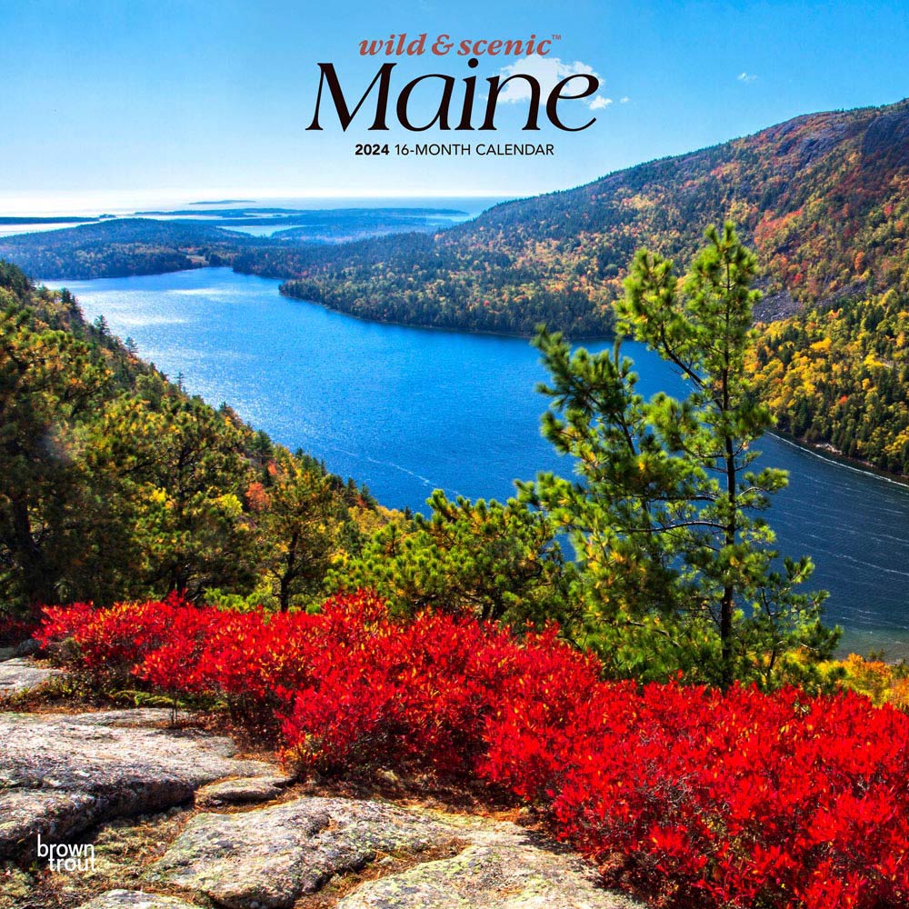 Maine Wild & Scenic | 2024 12 x 24 Inch Monthly Square Wall Calendar | BrownTrout | USA United States of America Northeast State Nature