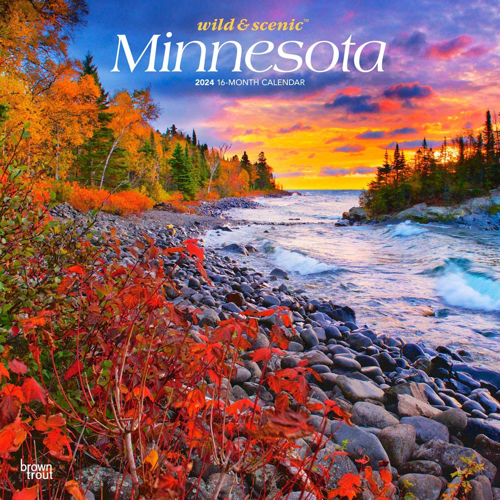 Minnesota Wild & Scenic | 2024 12 x 24 Inch Monthly Square Wall Calendar | BrownTrout | USA United States of America Midwest State Nature