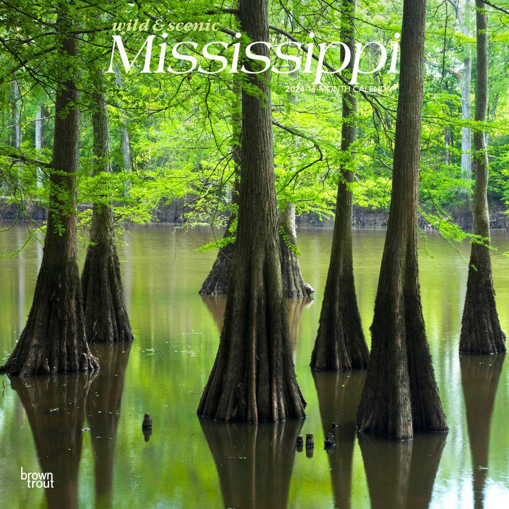 Mississippi Wild & Scenic | 2024 12 x 24 Inch Monthly Square Wall Calendar | BrownTrout | USA United States of America Southeast State Nature