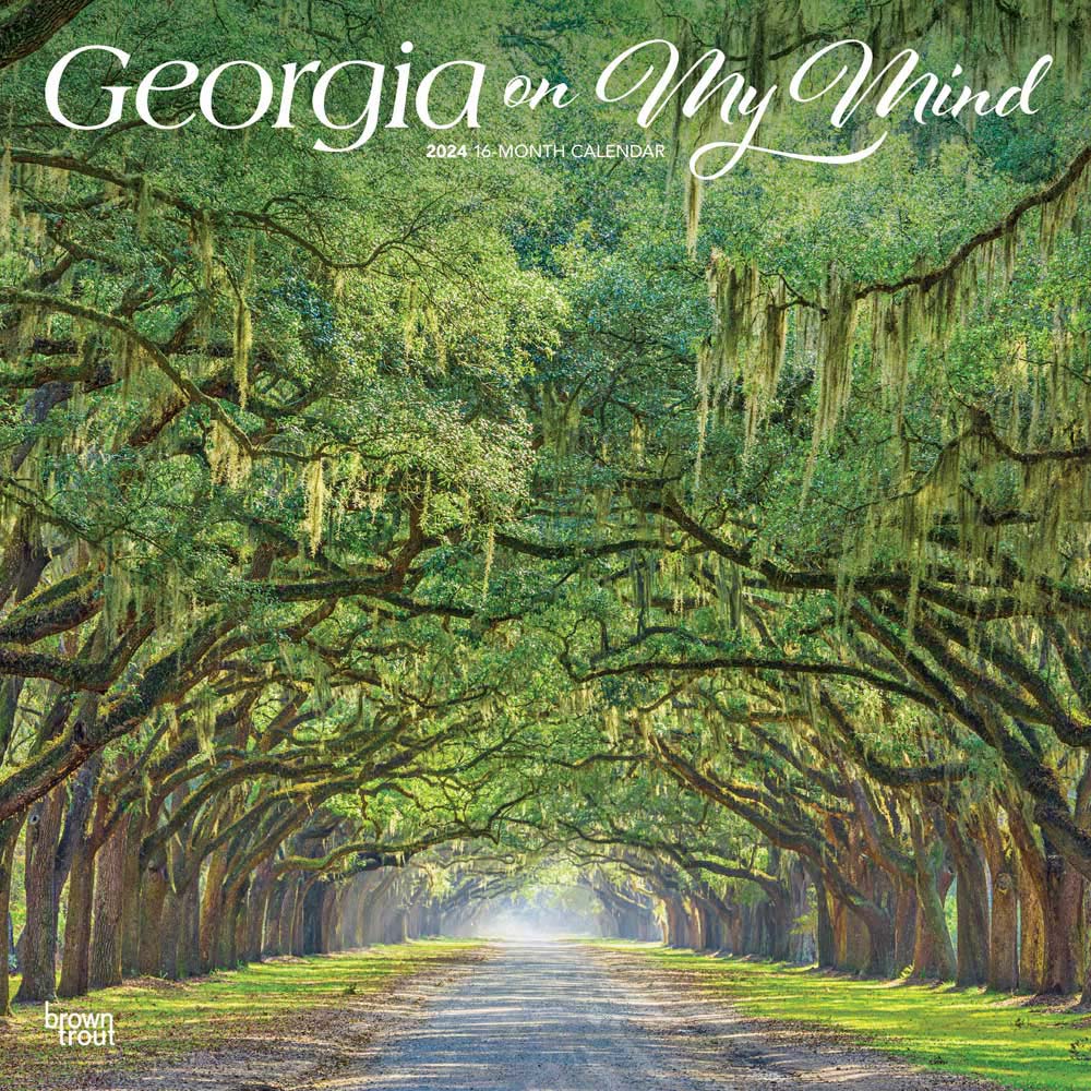 Georgia on My Mind | 2024 12 x 24 Inch Monthly Square Wall Calendar | BrownTrout | USA Southeast State Nature Savannah Golf