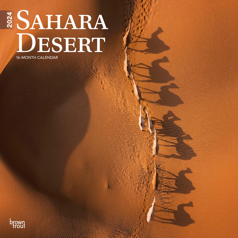 Sahara Desert | 2024 12 x 24 Inch Monthly Square Wall Calendar | BrownTrout | Travel Africa Sand